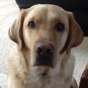 Meet your Posher, Deena